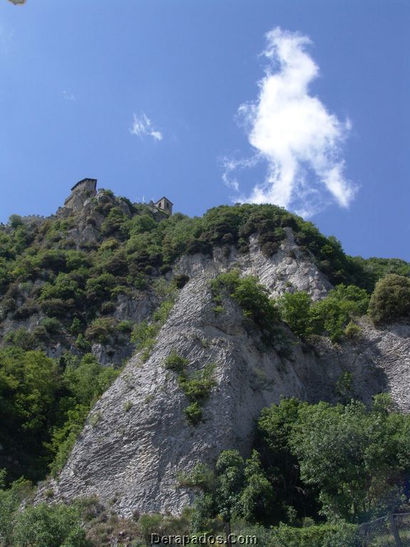 04.jpg